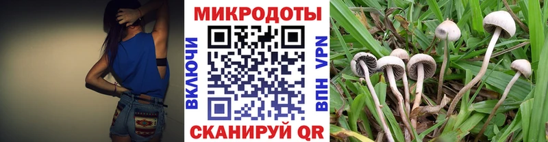 Галлюциногенные грибы Psilocybe  shop формула  Сорочинск 